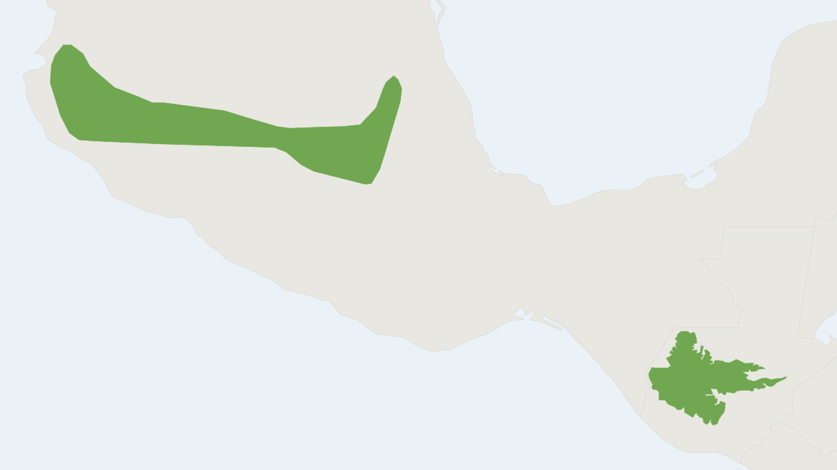 Range map of the Saussure's Shrew (Sorex saussurei)