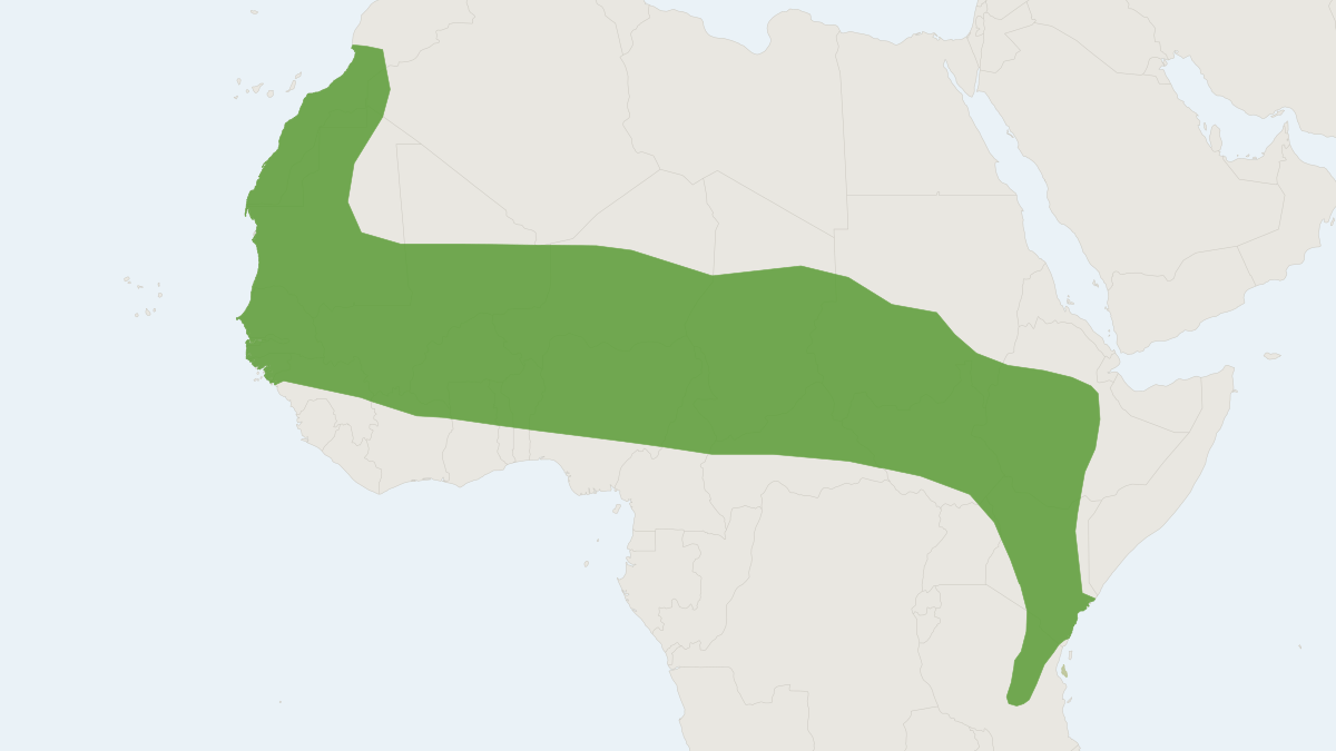 Range map of the Savanna Path Shrew (Crocidura viaria)