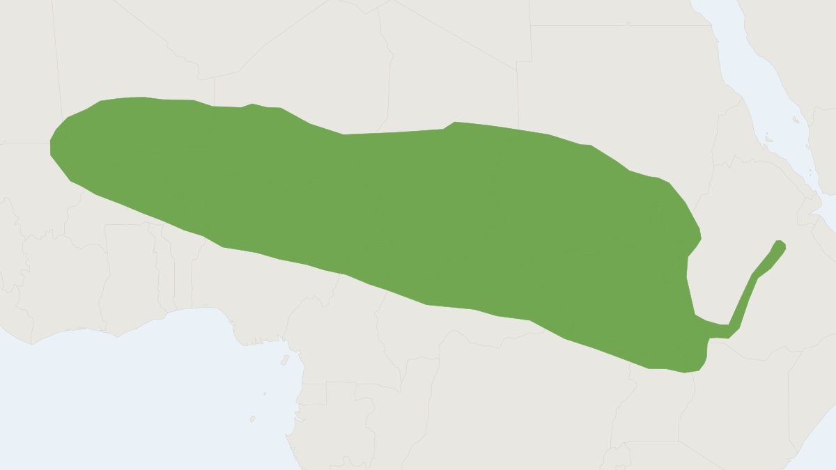 Range map of the Savanna Shrew (Crocidura fulvastra)