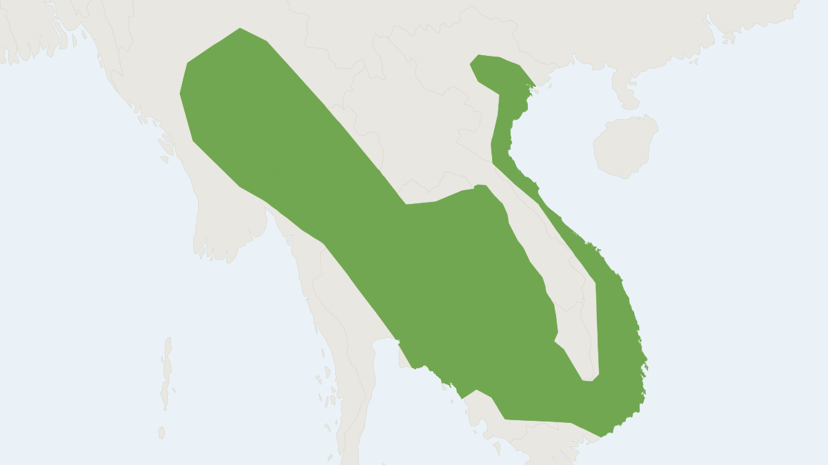 Range map of the Savile's Bandicoot Rat (Bandicota savilei) covering Cambodia, China and Laos