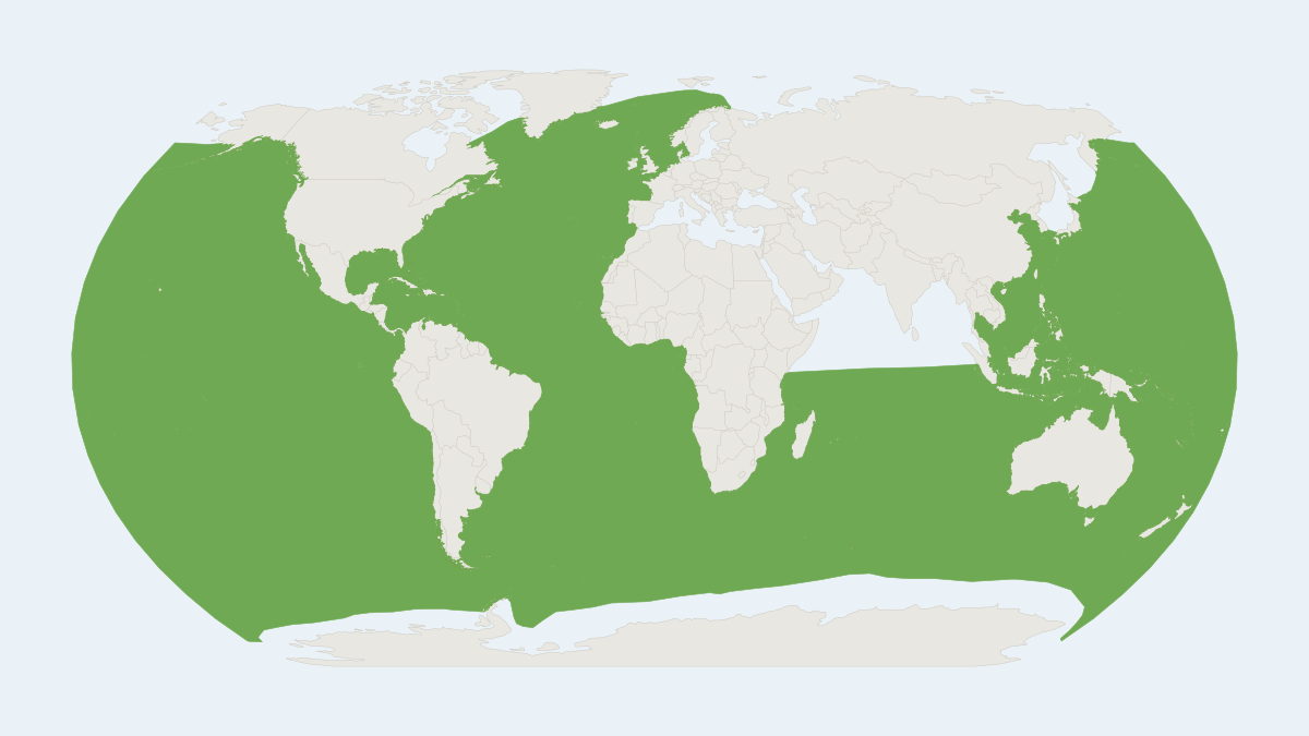Range map of the Sei Whale (Balaenoptera borealis) covering Falkland Islands and Iceland