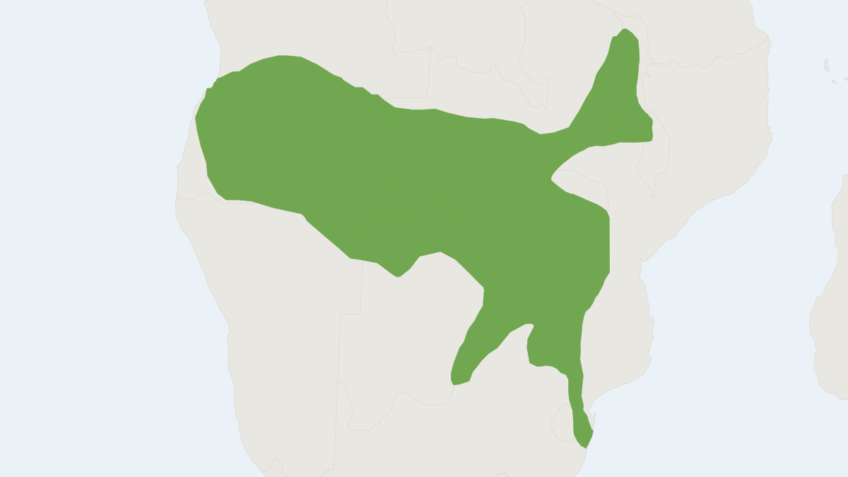 Range map of the Selous's Mongoose (Paracynictis selousi)
