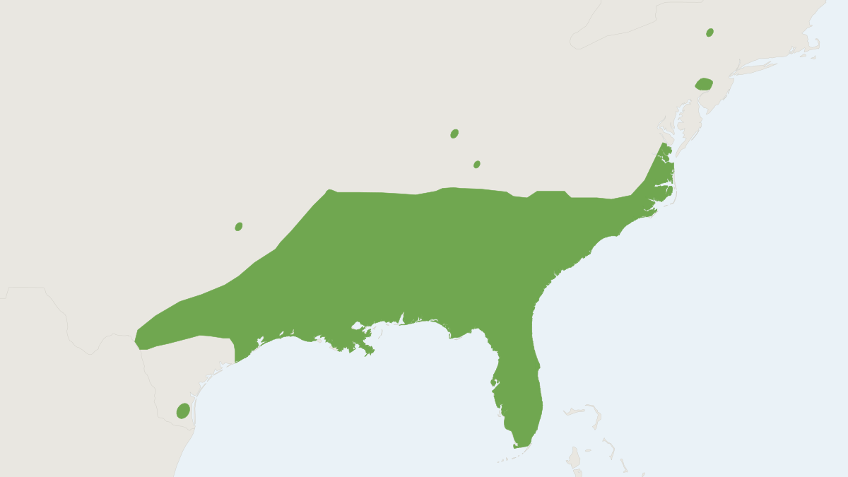 Range map of the Seminole Bat (Lasiurus seminolus)