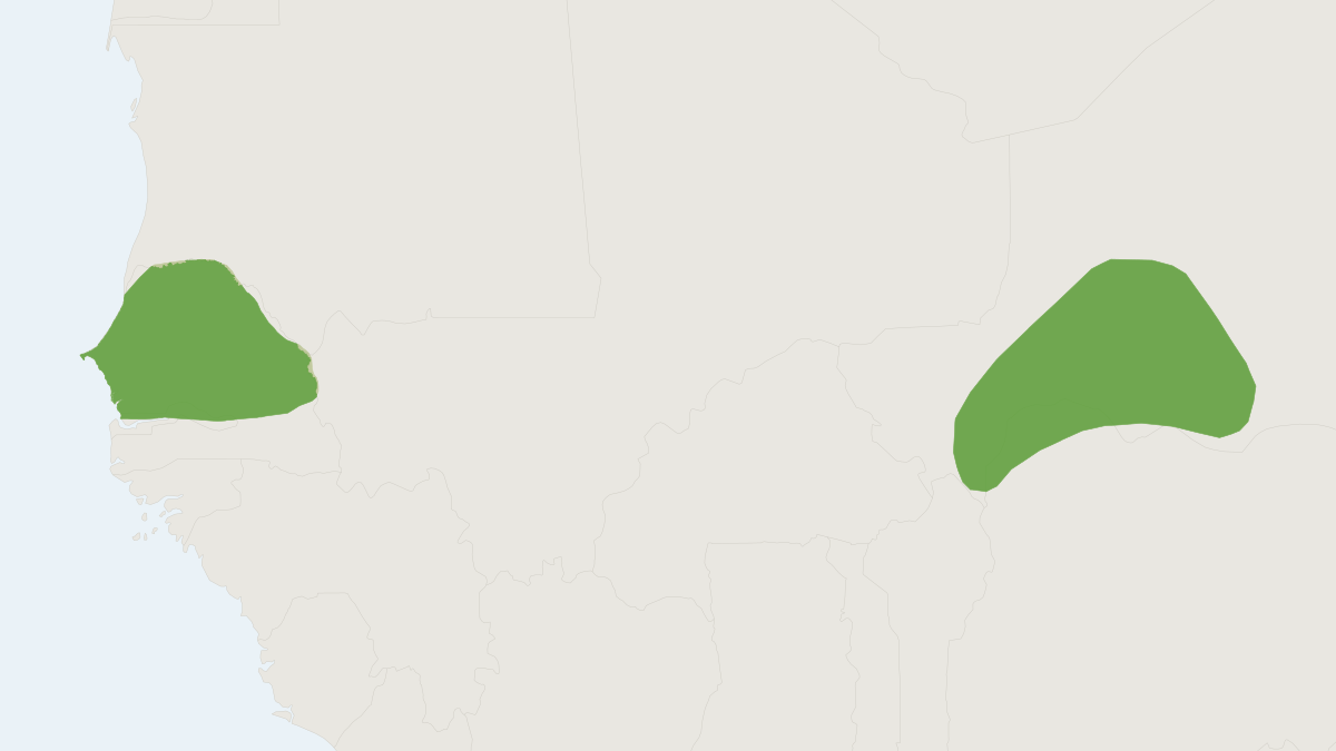 Range map of the Senegal Gerbil (Taterillus pygargus)