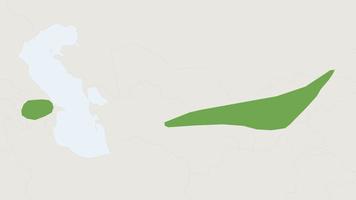 Range map of the Serezkaya Shrew (Crocidura serezkyensis)