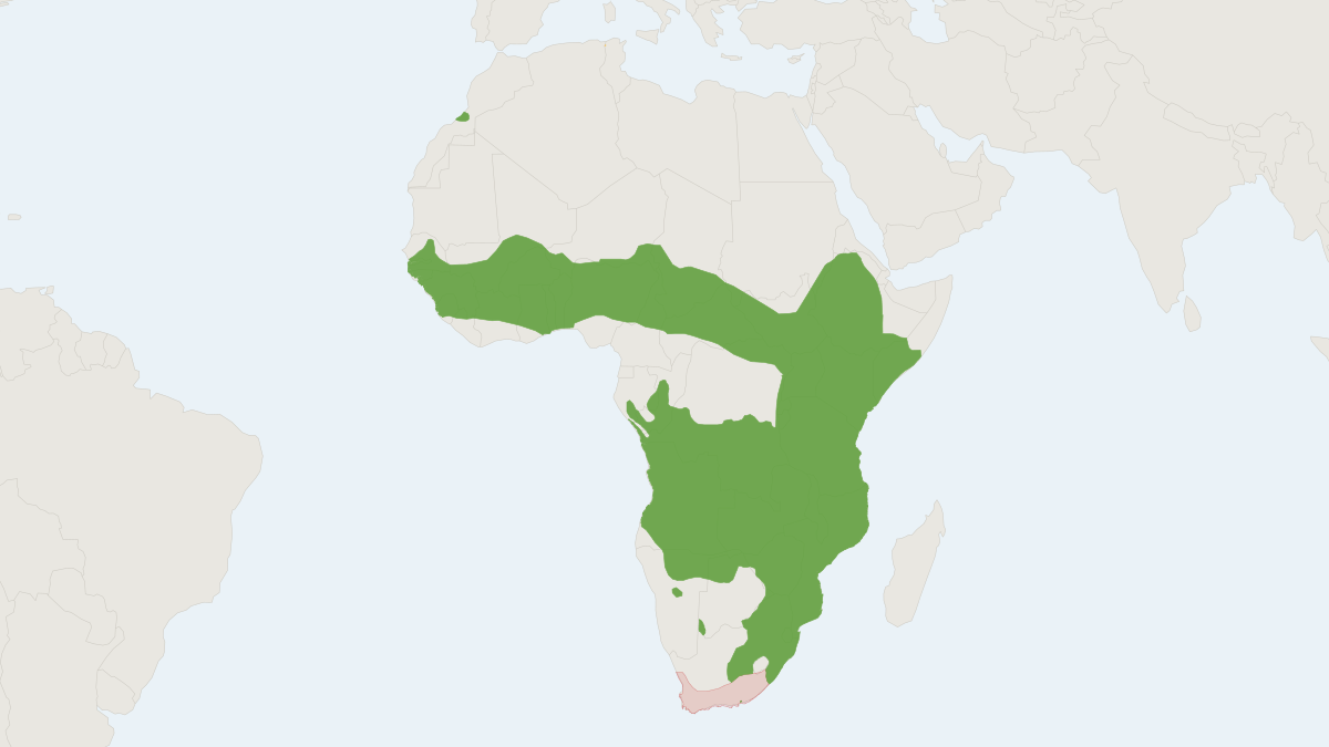 Range map of the Serval (Leptailurus serval) covering Democratic Republic of the Congo, Ethiopia and Mauritania