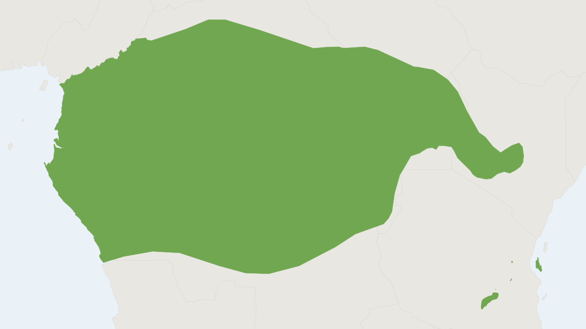 Range map of the Servaline Genet (Genetta servalina)