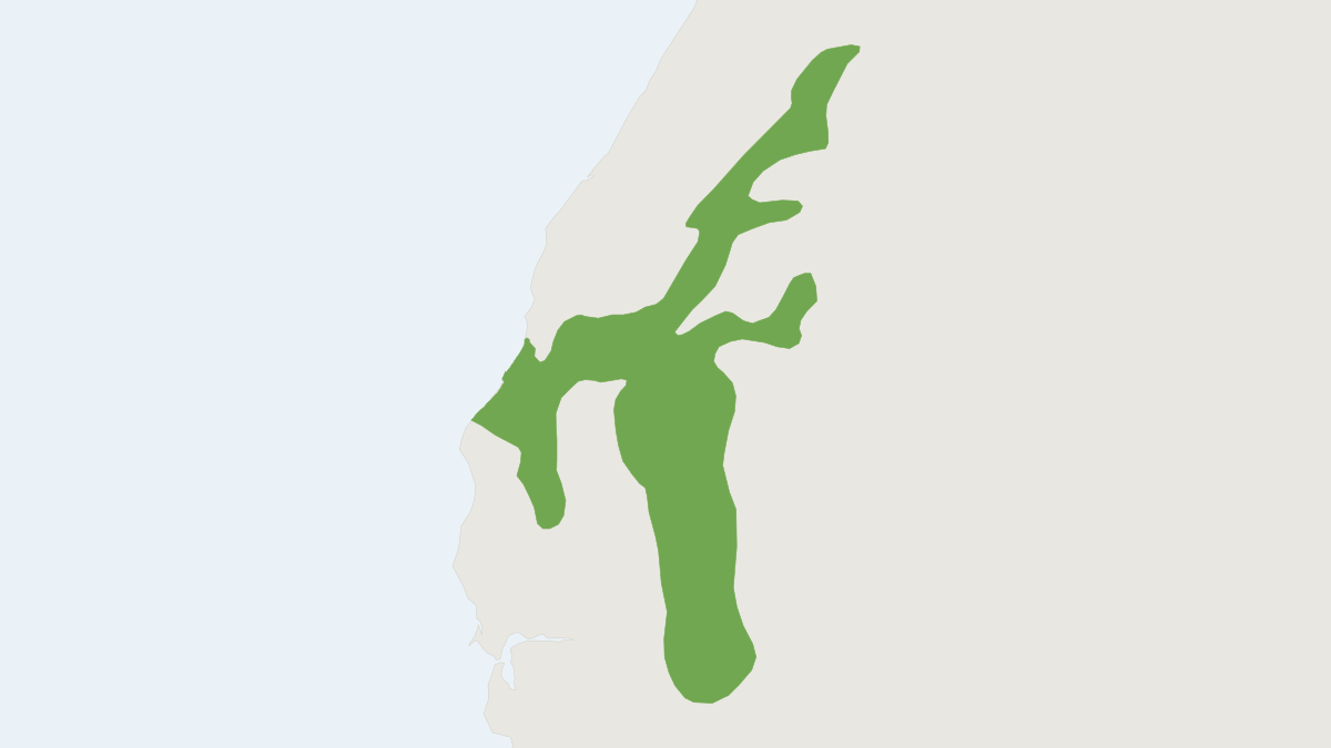 Range map of the Shadow Chipmunk (Neotamias senex)