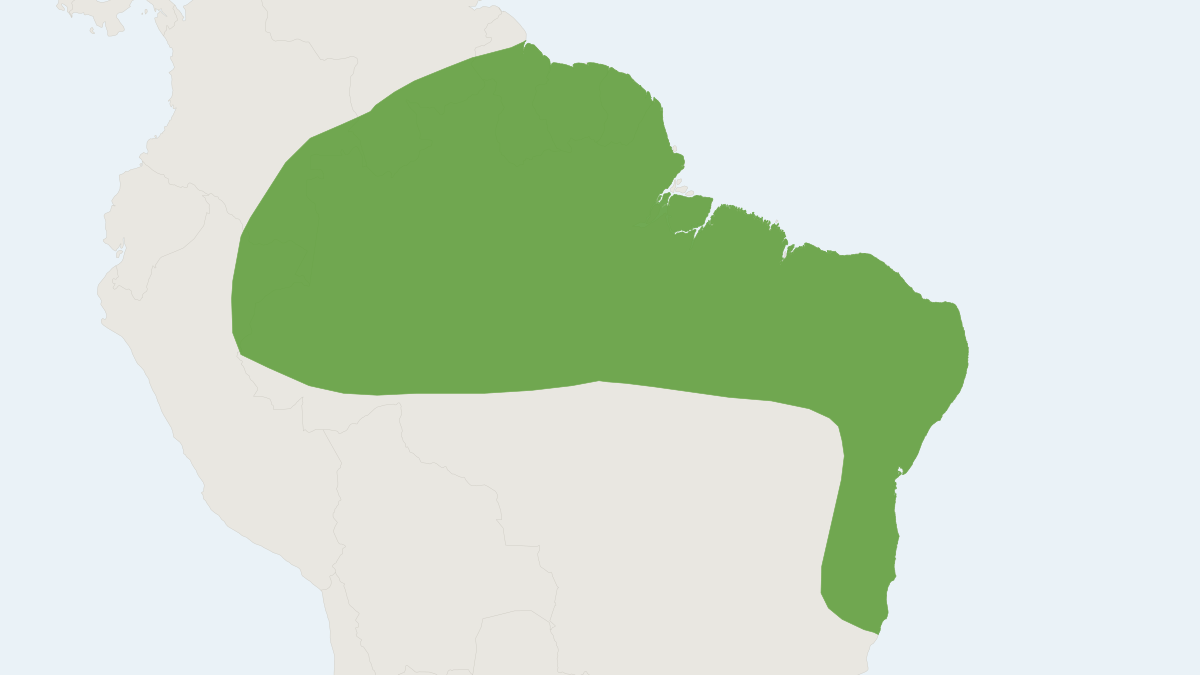 Range map of the Shaggy Bat (Centronycteris maximiliani) covering Brazil, Colombia and Costa Rica