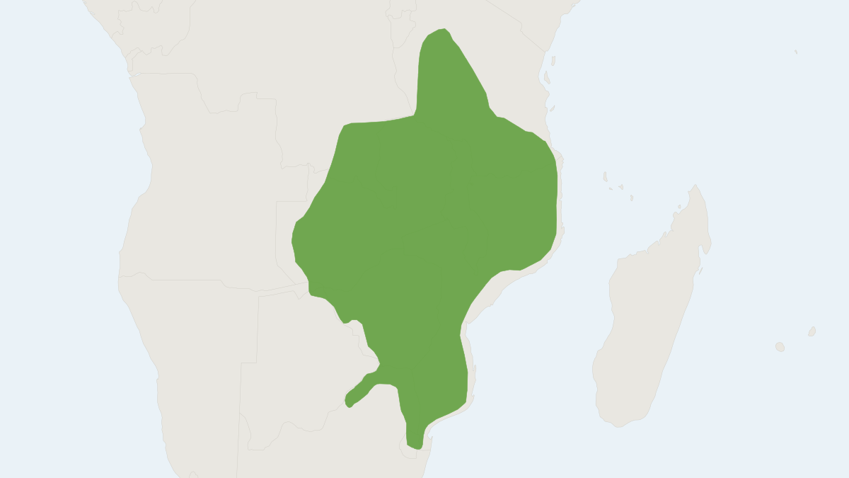 Range map of the Sharpe's Grysbok (Raphicerus sharpei)