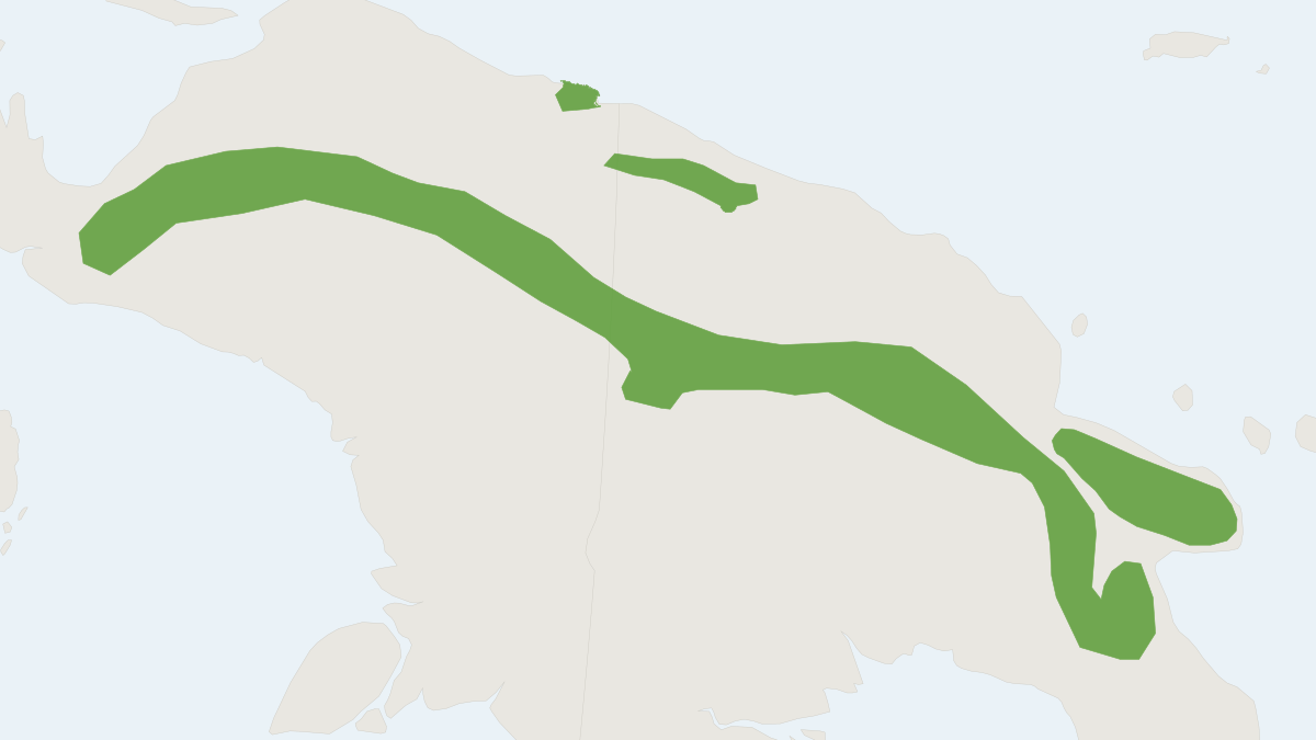 Range map of the Shaw Mayer's Pogonomelomys (Pogonomelomys mayeri)