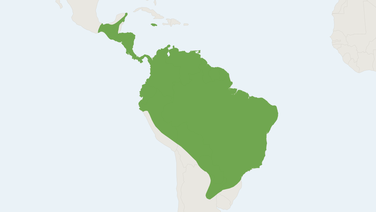 Range map of the Shaw’s Mastiff Bat (Eumops auripendulus)