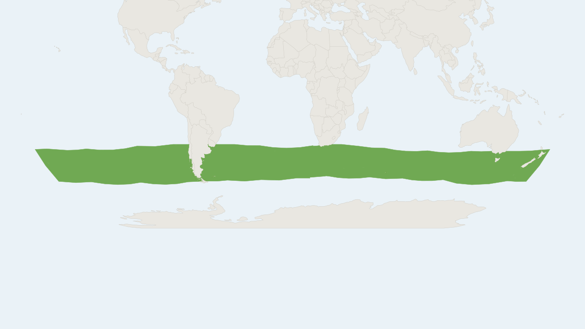 Range map of the Shepherd's Beaked Whale (Tasmacetus shepherdi)