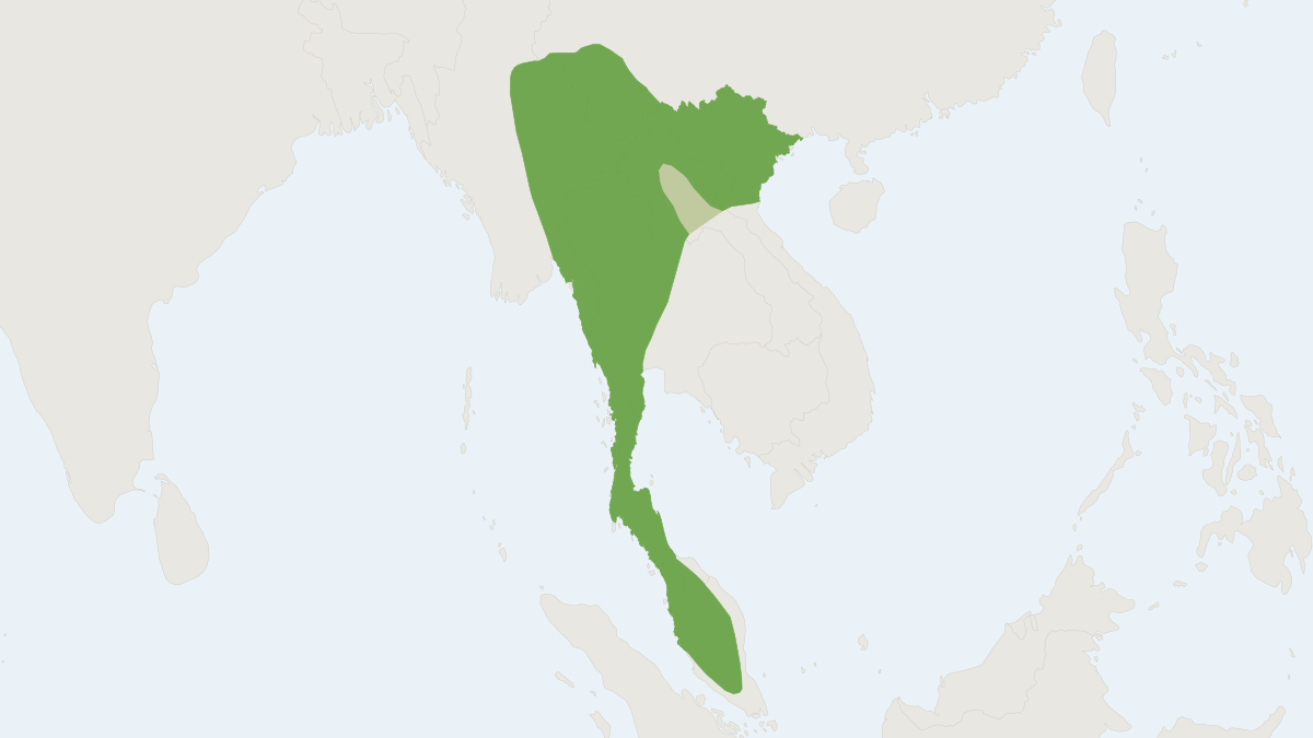 Range map of the Shield-faced Leaf-nosed Bat (Hipposideros lylei)