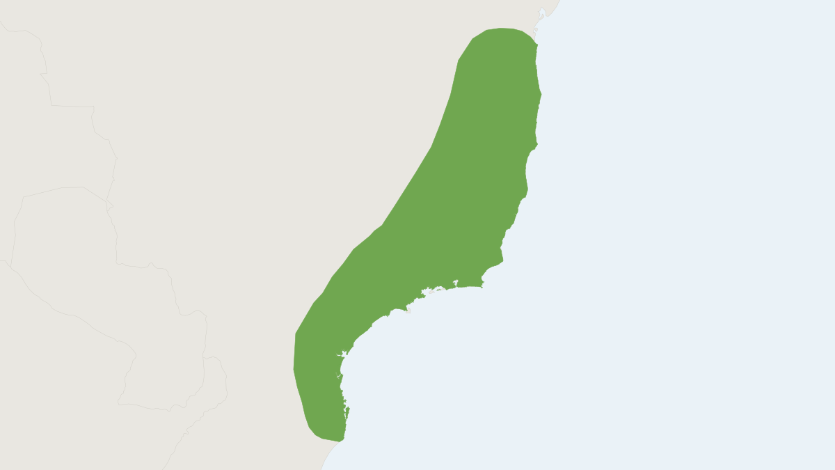 Range map of the Shiny Guinea Pig (Cavia fulgida) covering Brazil