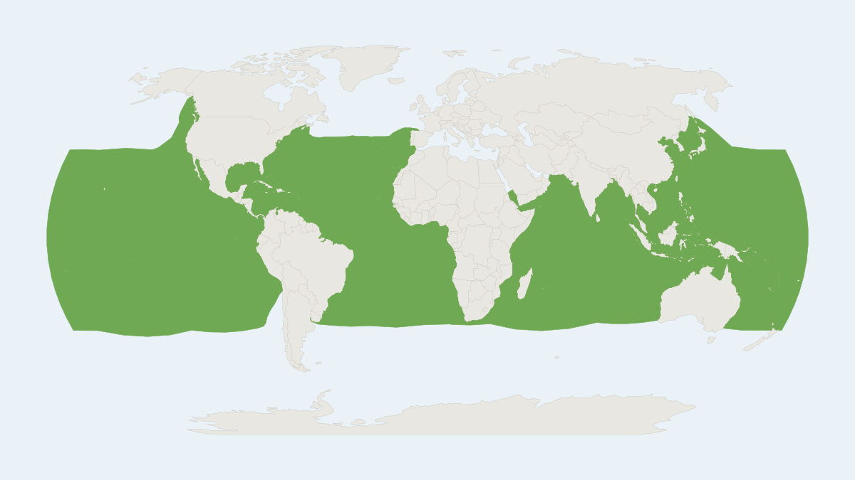 Range map of the Short-finned Pilot Whale (Globicephala macrorhynchus)