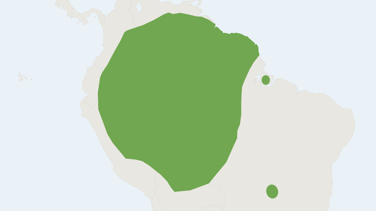 Range map of the Short-headed Broad-nosed Bat (Platyrrhinus brachycephalus)