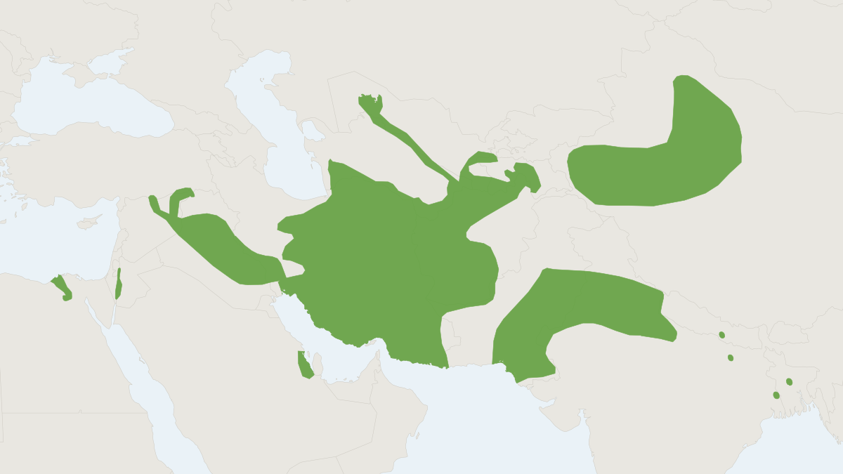 Range map of the Short-tailed Bandicoot Rat (Nesokia indica)