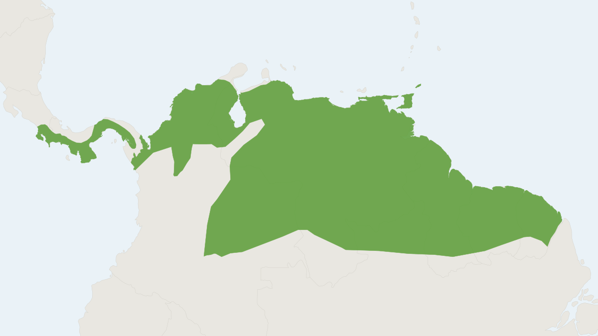 Range map of the Short-tailed Cane Mouse (Zygodontomys brevicauda)