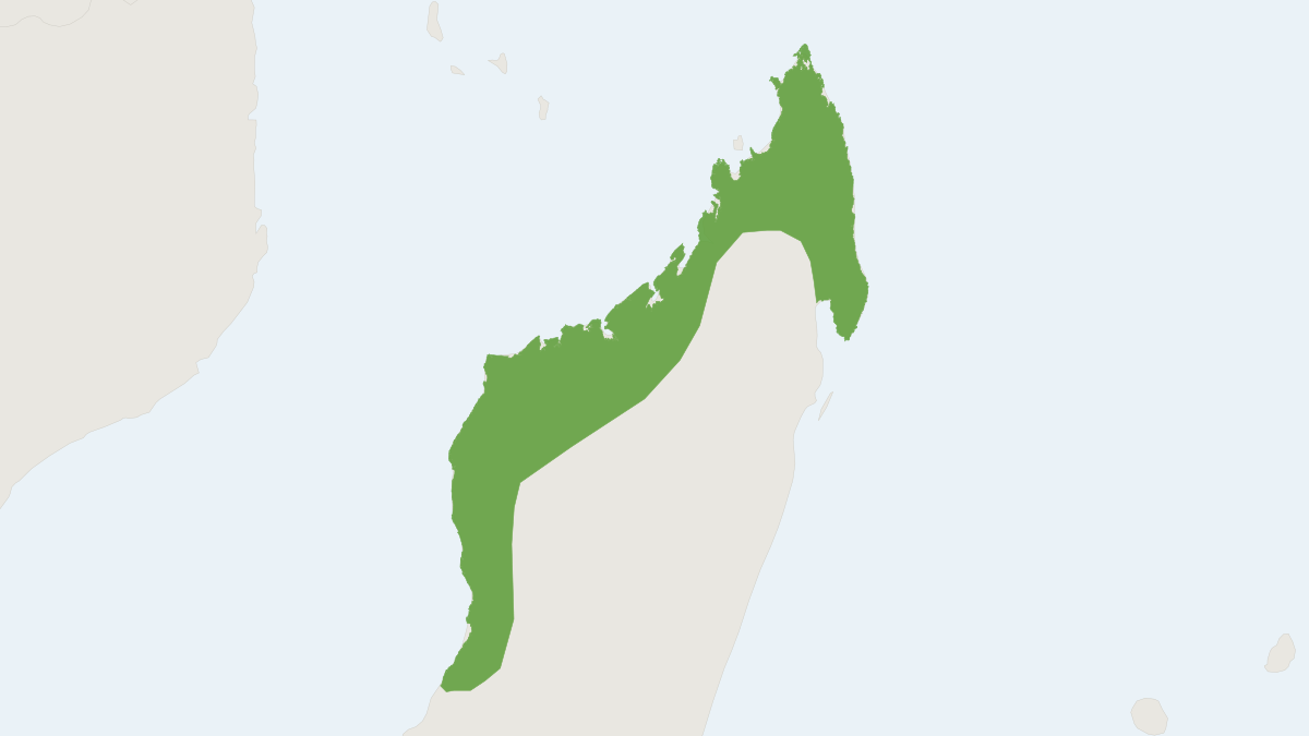 Range map of the Short-tailed Shrew Tenrec (Microgale brevicaudata)