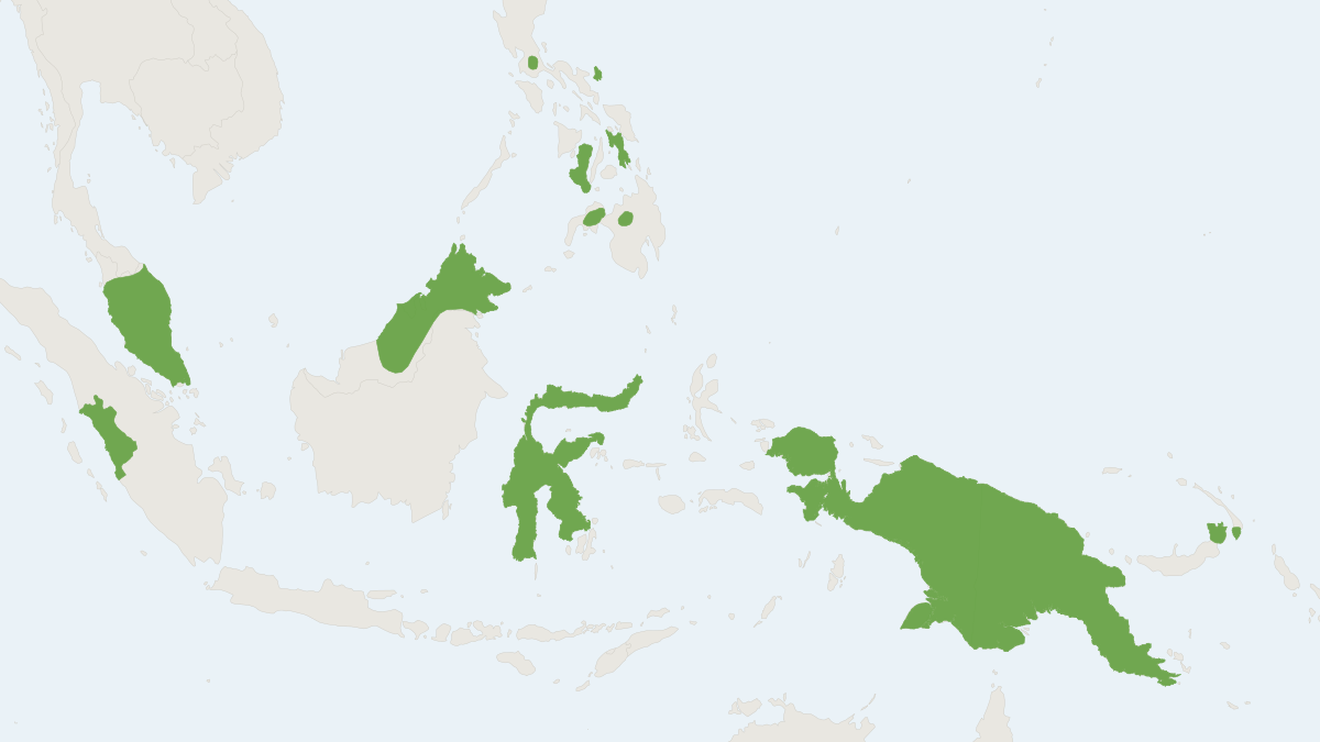 Range map of the Short-winged Pipistrelle (Philetor brachypterus)