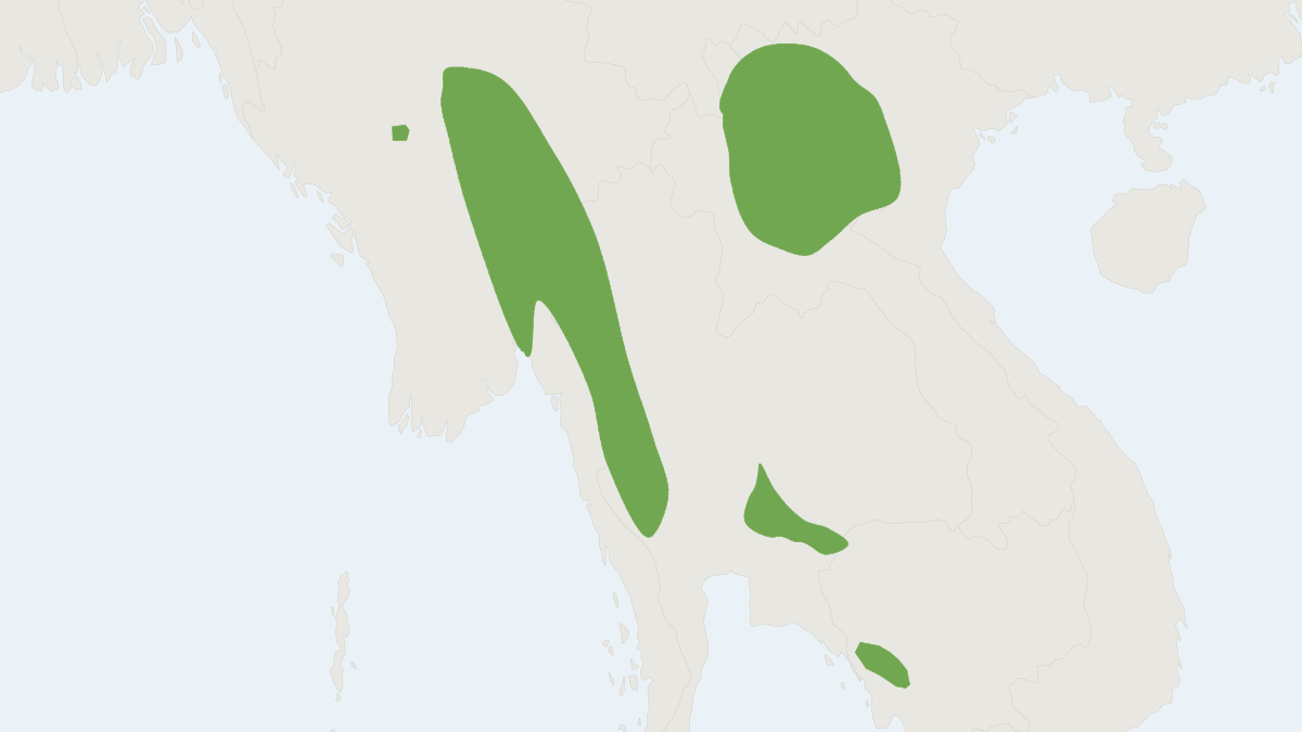 Range map of the Shortridge’s Mouse (Mus shortridgei)