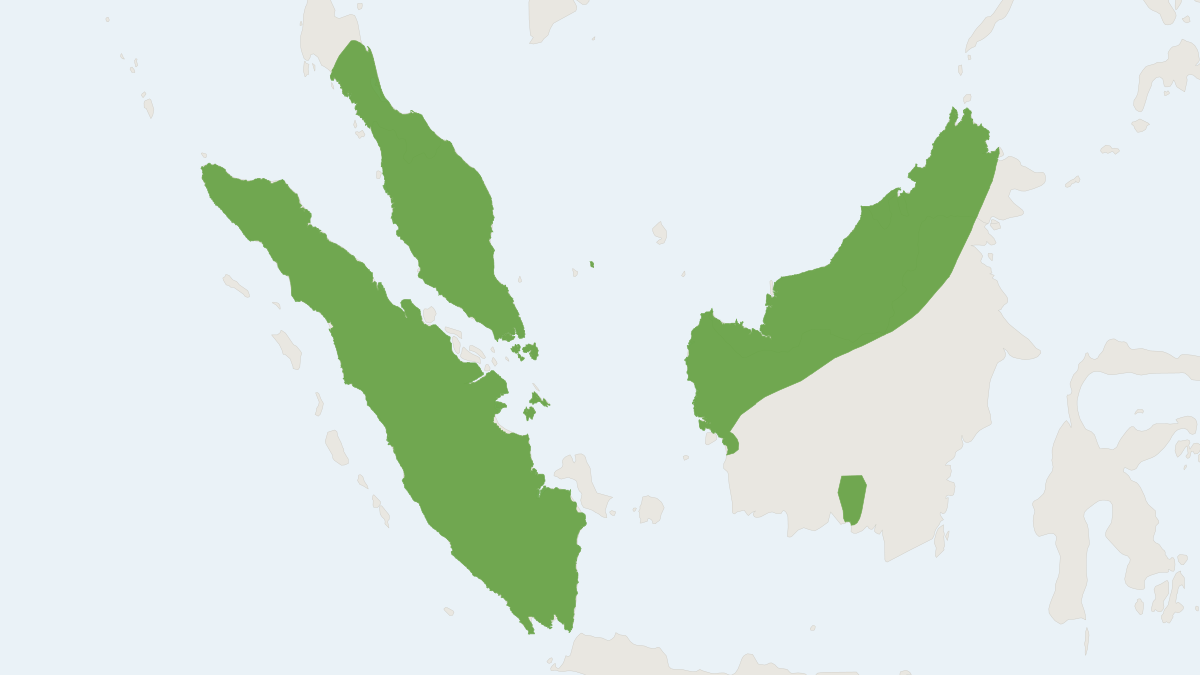 Range map of the Shrew-faced Squirrel (Rhinosciurus laticaudatus)