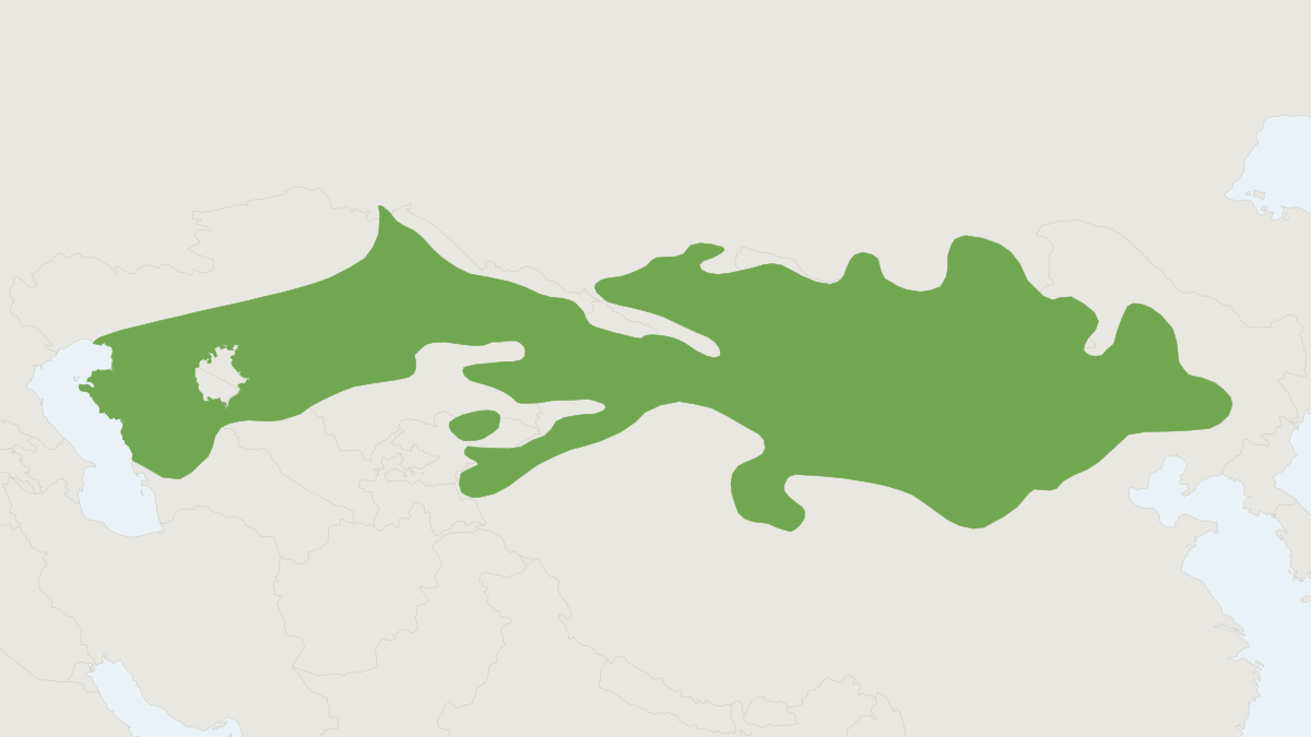 Range map of the Siberian Jerboa (Allactaga sibirica) covering China, Kazakhstan and Mongolia