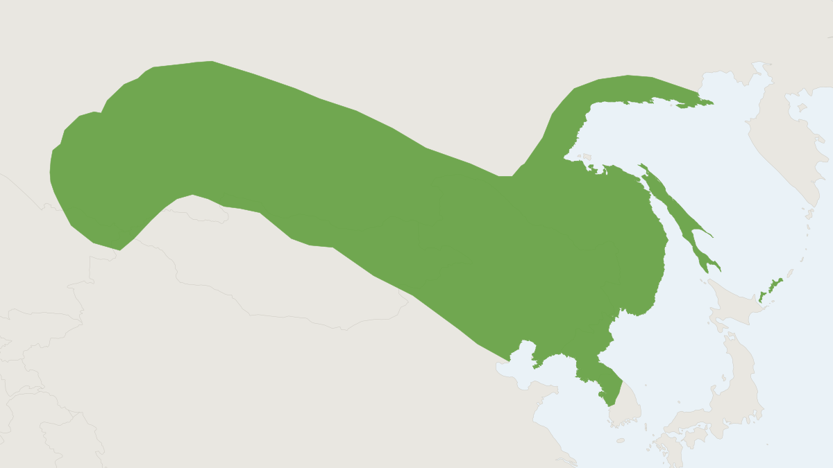 Range map of the Siberian long-eared bat (Plecotus ognevi)