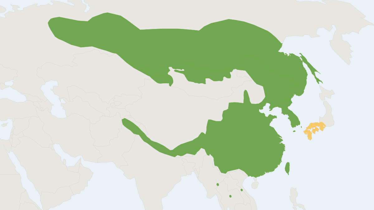 Range map of the Siberian Weasel (Mustela sibirica)