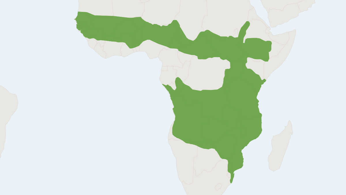Range map of the Side-striped Jackal (Lupulella adustus) covering Cameroon, Democratic Republic of the Congo and Ethiopia