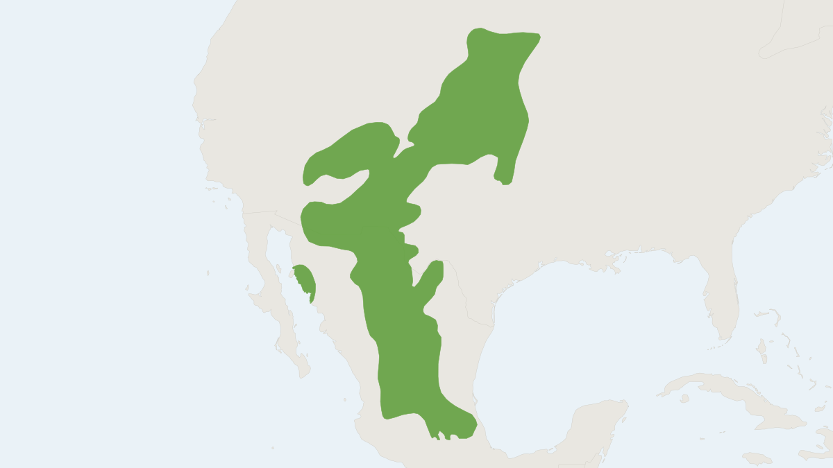 Range map of the Silky Pocket Mouse (Perognathus flavus)