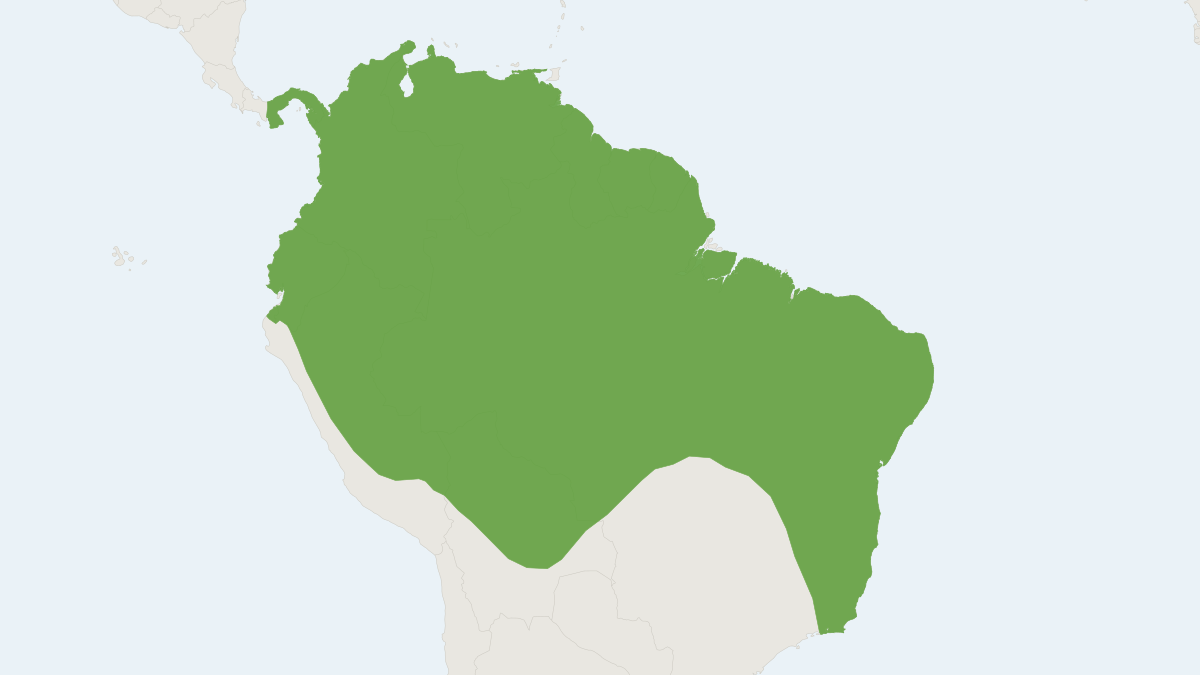 Range map of the Silky Short-tailed Bat (Carollia brevicauda) covering Bolivia, Colombia and Costa Rica