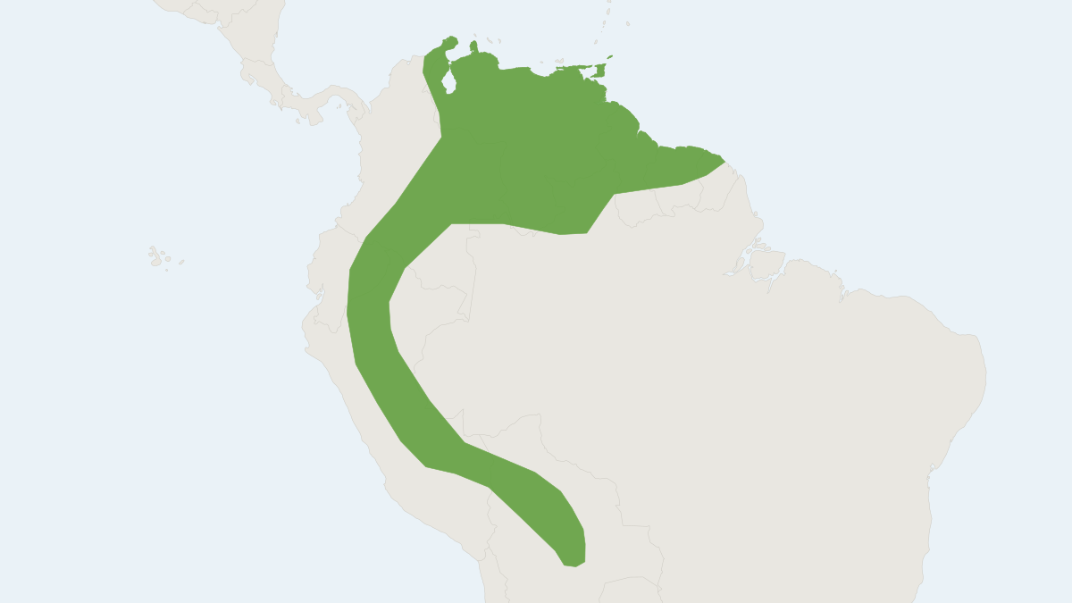 Range map of the Silver Fruit-eating Bat (Dermanura glauca)