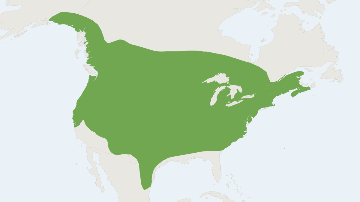 Range map of the Silver-haired Bat (Lasionycteris noctivagans)