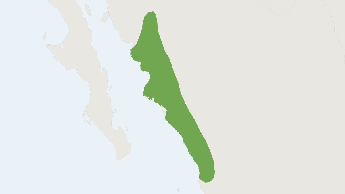 Range map of the Sinaloan Pocket Mouse (Chaetodipus pernix) covering Mexico