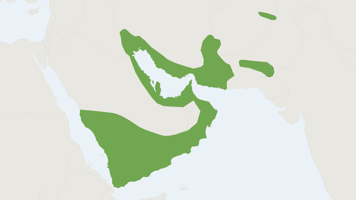 Range map of the Sind Serotine Bat (Rhyneptesicus nasutus)