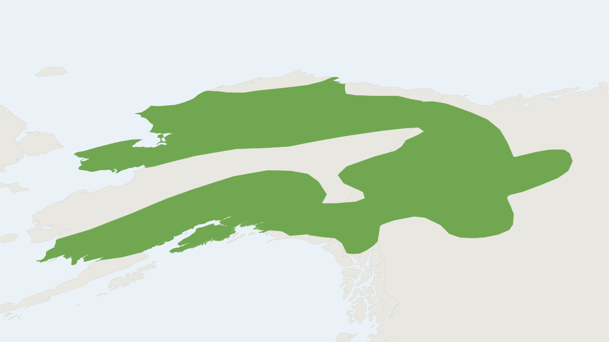 Range map of the Singing Vole (Microtus miurus)