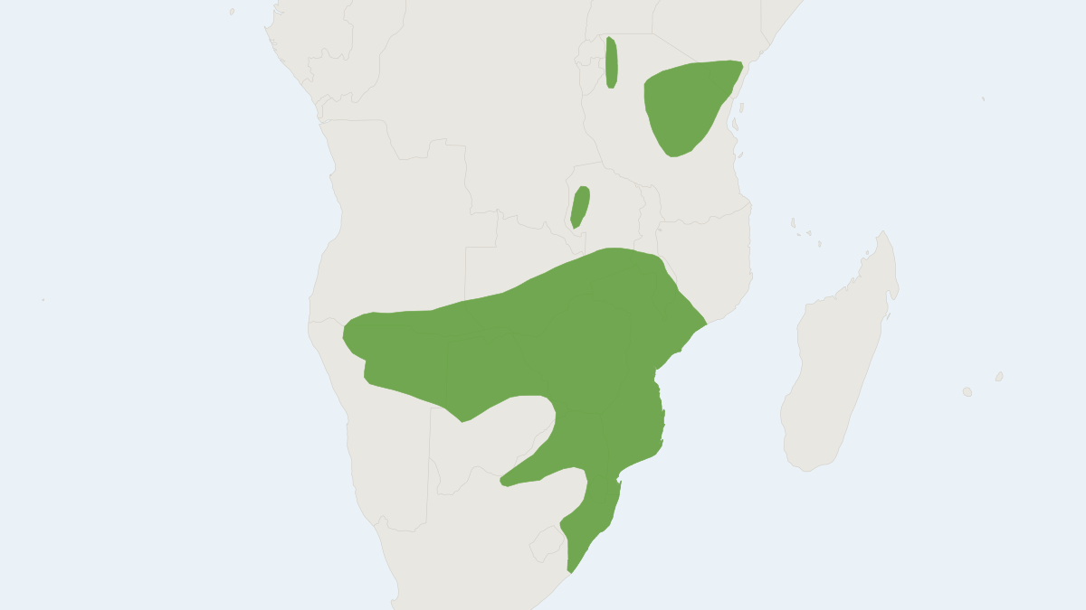 Range map of the Single-striped Grass Mouse (Lemniscomys rosalia)