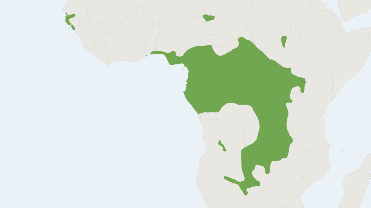 Range map of the Sitatunga (Tragelaphus spekii)