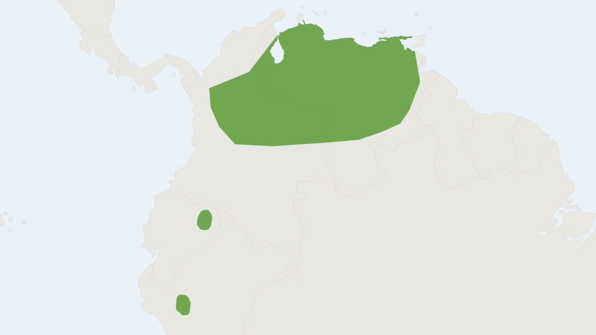 Range map of the Slender Broad-nosed Bat (Platyrrhinus angustirostris)