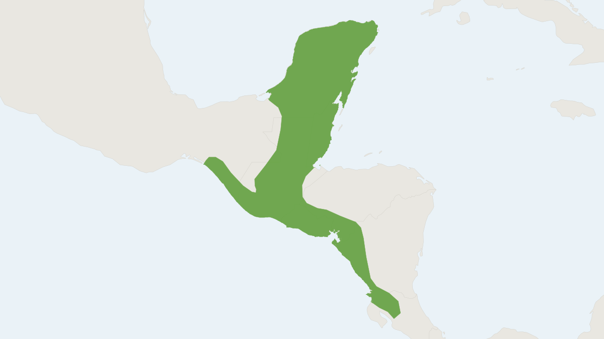 Range map of the Slender Harvest Mouse (Reithrodontomys gracilis)