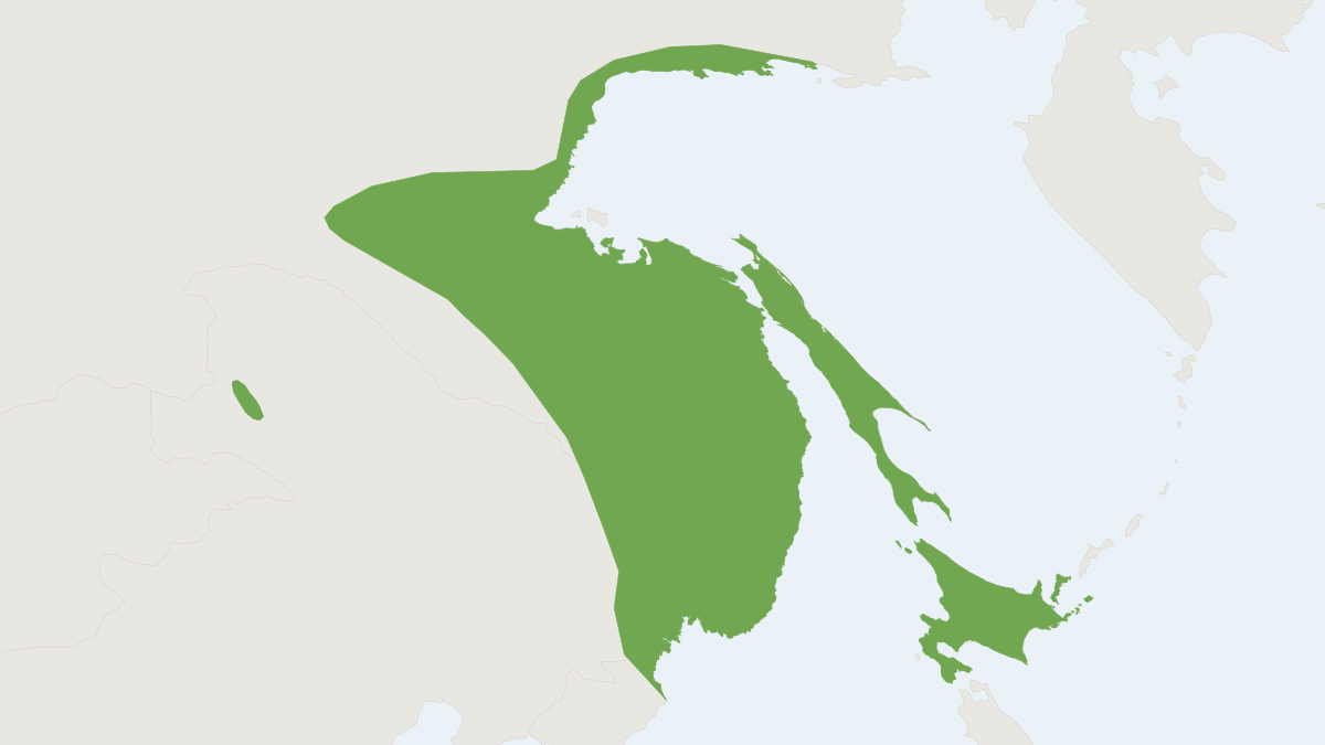 Range map of the Slender Shrew (Sorex gracillimus)
