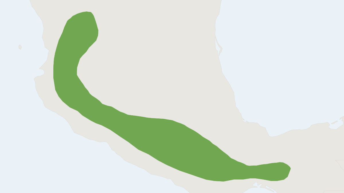 Range map of the Slender Yellow Bat (Baeodon gracilis)