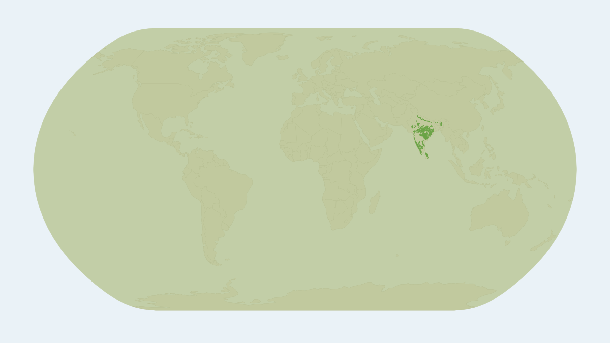 Range map of the Sloth Bear (Melursus ursinus) covering Bangladesh, Bhutan and India