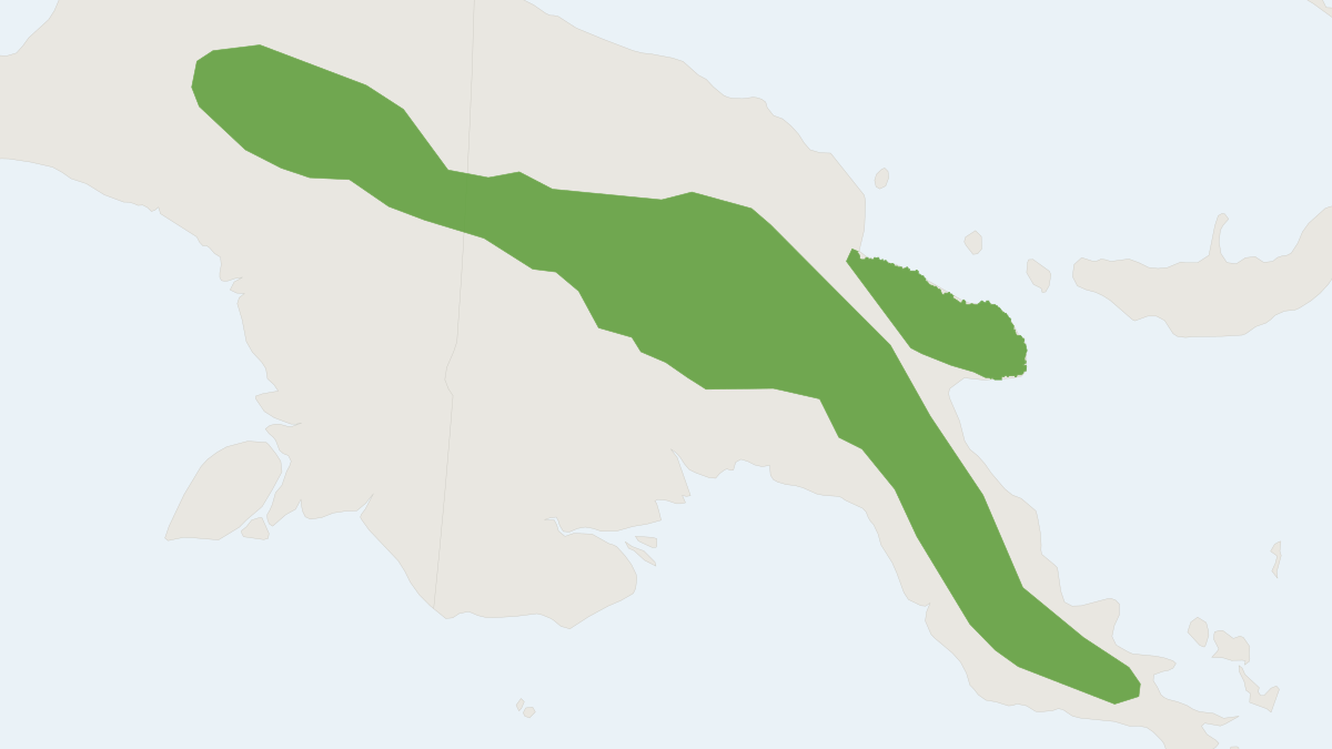 Range map of the Small Dorcopsis (Dorcopsulus vanheurni)