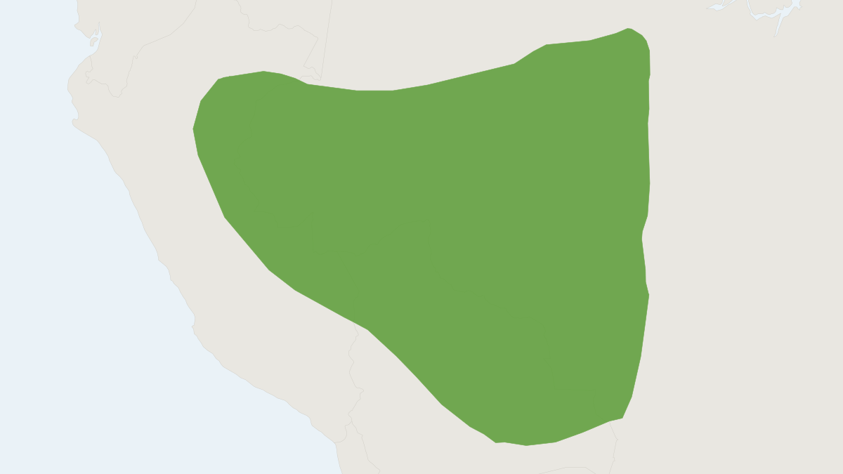Range map of the Small-eared Pygmy Rice Rat (Oligoryzomys microtis)