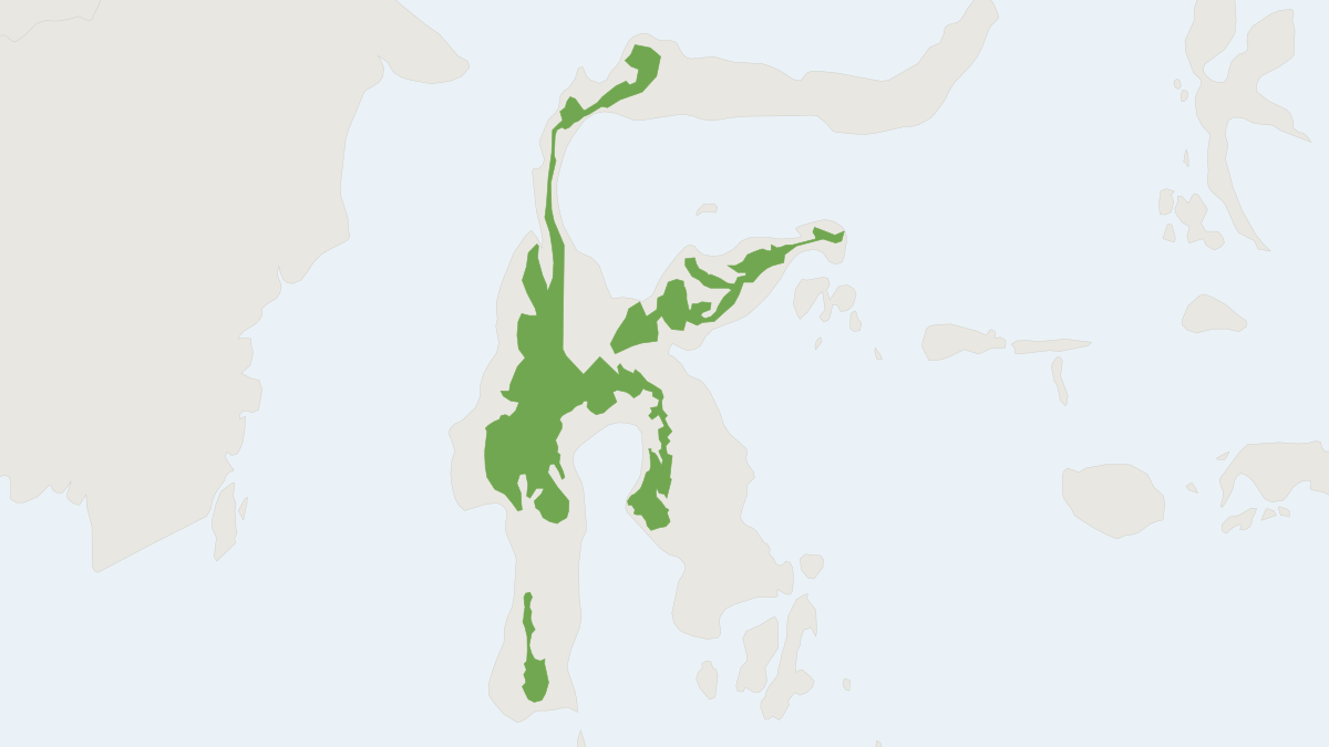 Range map of the Small Elongated White-toothed Shrew (Crocidura microelongata)
