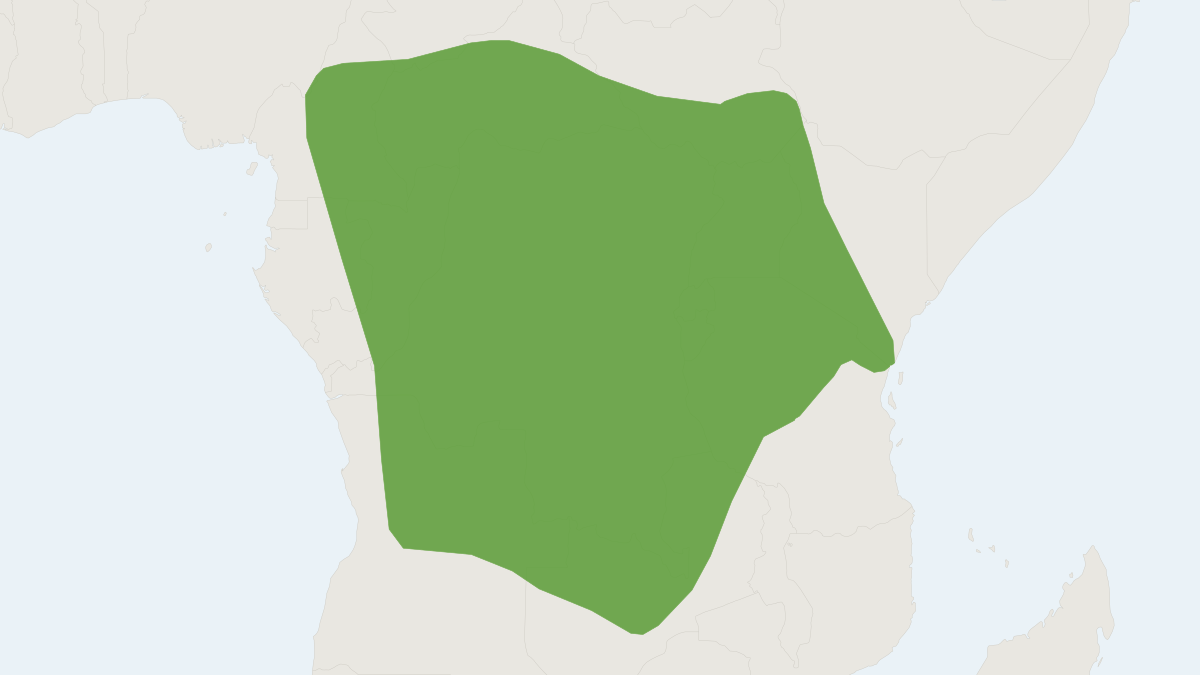 Range map of the Small-footed Shrew (Crocidura parvipes)