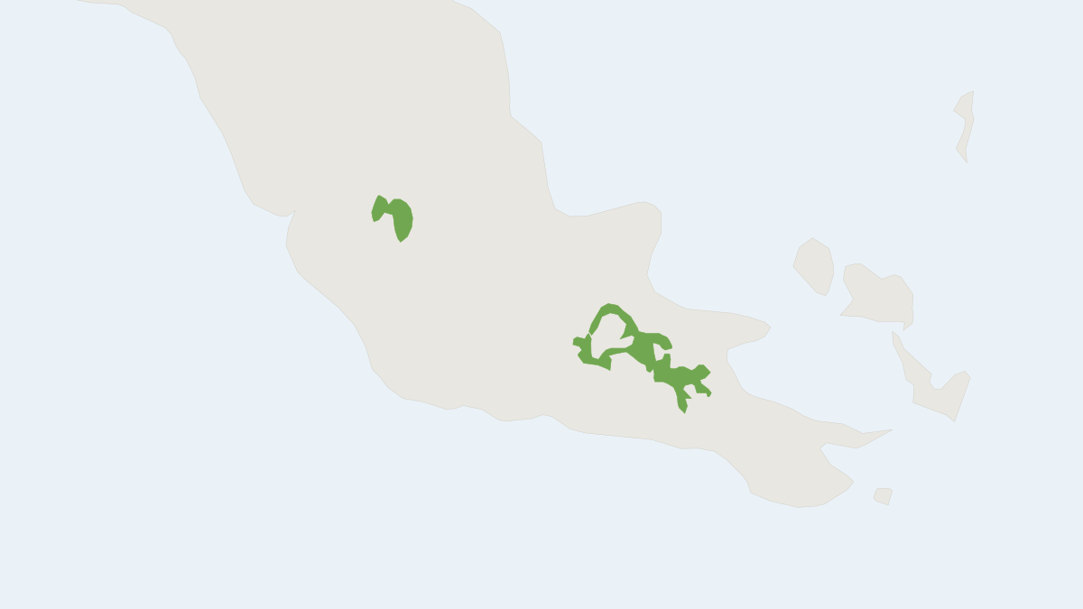 Range map of the Small Leptomys (Leptomys paulus)